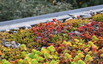 the cost of Trehemborne green roof installation